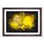Yellow Butterfly - Framed Print-56842424-56842428