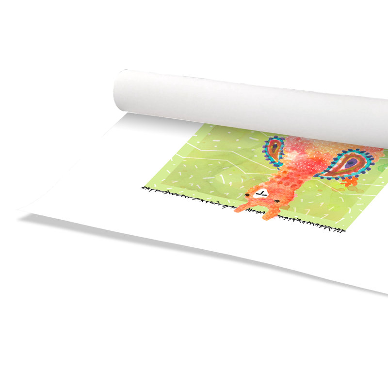 «Rolled Lovely Llama I», impression sur papier, H 10 po x l 8 po x P 1 po