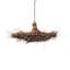 Twigs 6 - Light Chandelier