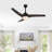 Clorice 52'' Ceiling Fan with LED Lights-469123297