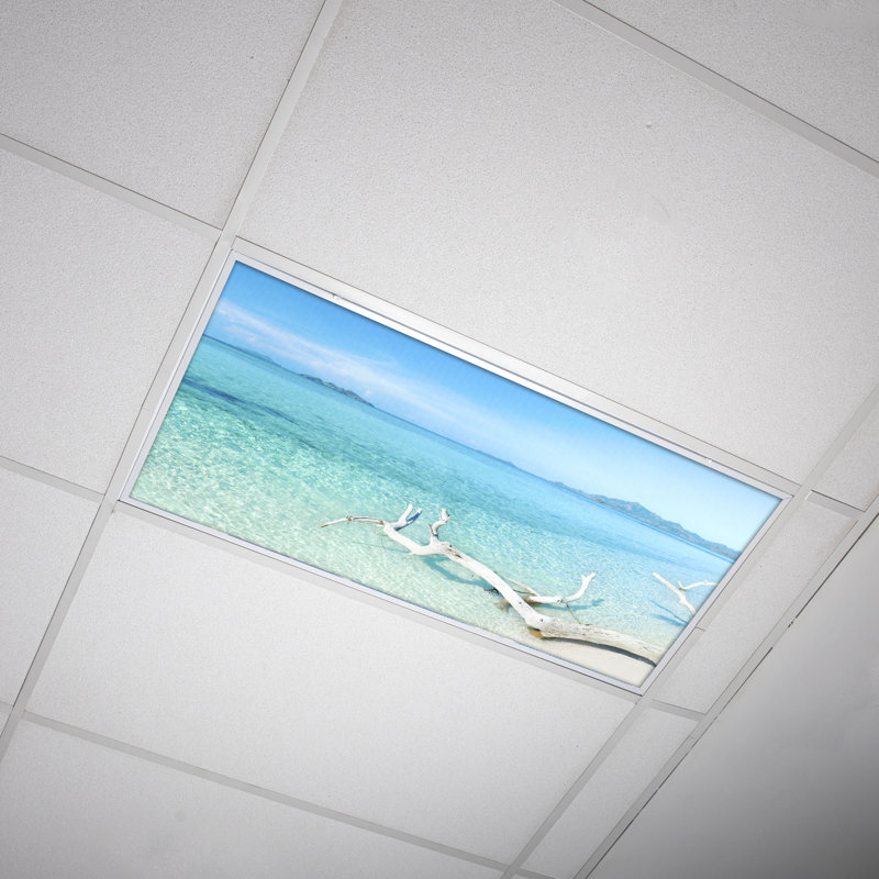 Housses pour lampes de plafond Beach Classroom Fluorescent - pour luminaire 2 x 4 - par Octo Lights