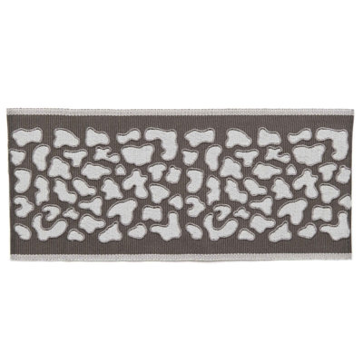 Tissu osseux guépard