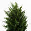 120cm Faux Tree in Pot Liner