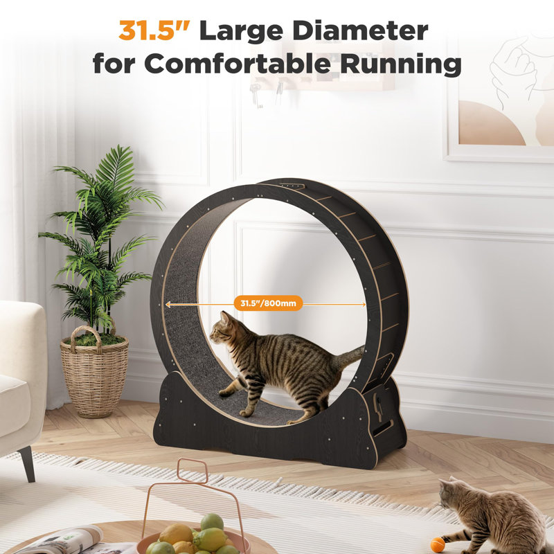 Tapis roulant d'intérieur pour animal de compagnie, H 38,2 po x l 31,5 po x P 12,6 po, Noir