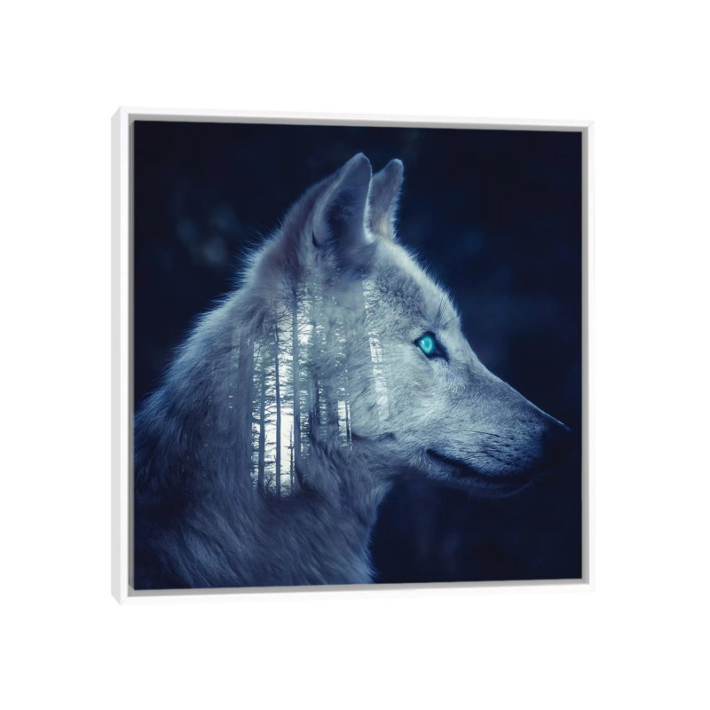 Wolfer by Paul Haag - Print on Canvas, White Framed, 45.72 cm H x 45.72 cm W