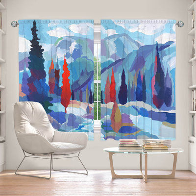 Delaini Room Darkening Curtains / Drapes Pair