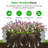 Cotilla 2.5 ft x 2.5 ft Metal Raised Garden Bed-1166079588