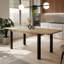 Extendable Metal Base Dining Table-1764893821-1764893818