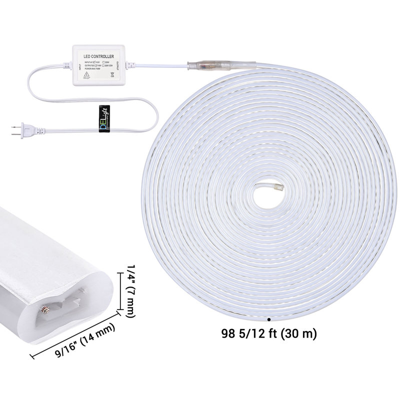 Lamuel DELight 100FT Warm White LED Strip Neon Rope Lights with Remote Comtrol Cuttable DIY Commercial Sign for Outdoor DEL-D100W
