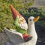 Statue de jardin canard gnome printanier