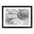 Black selected
