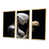 Gold Floater Framed