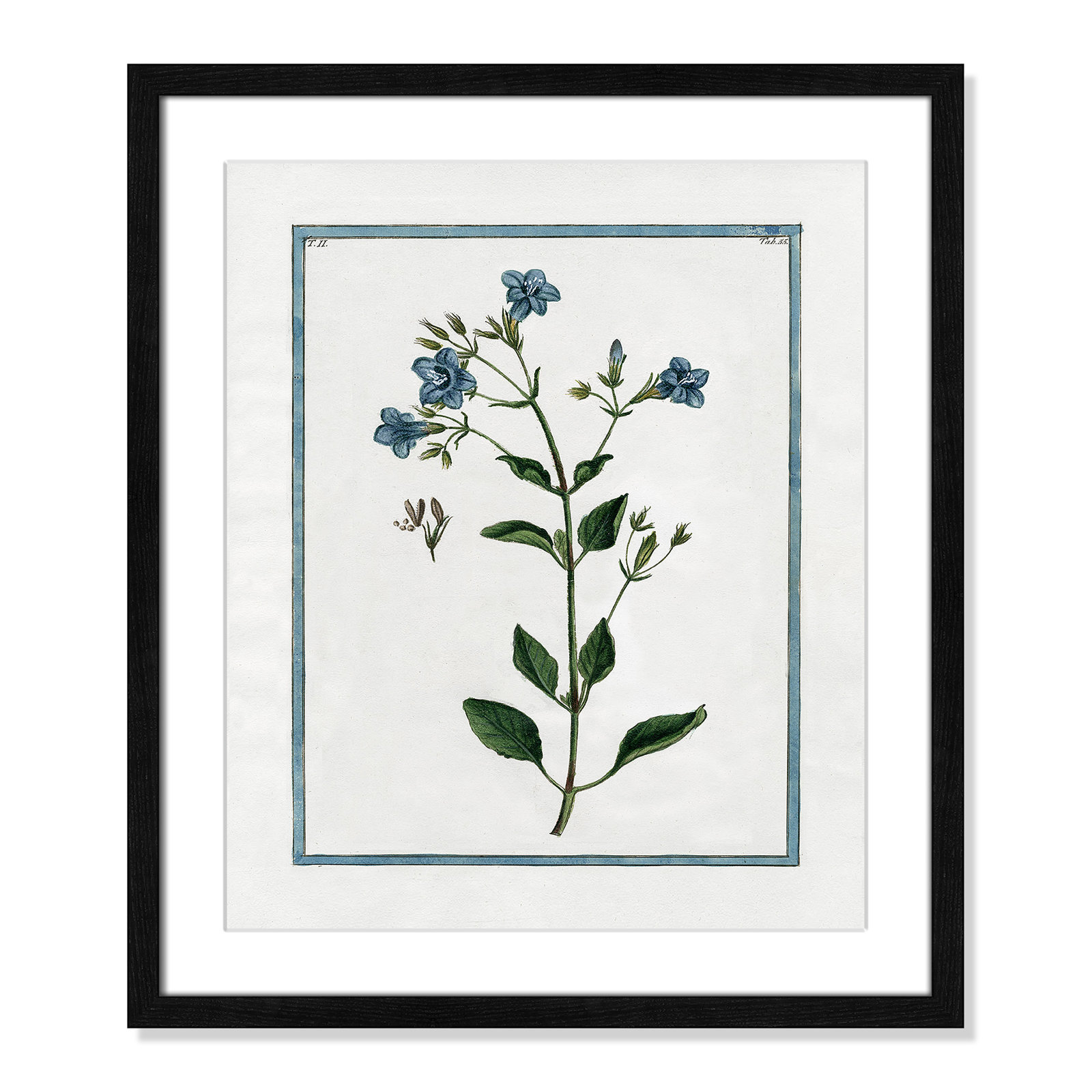 Colombe "Shabby Elegance Botanical II" Print, Black Framed, 16" W x 19" H