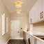 1 - Light Chandelier