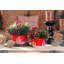 Arrangement floral de Noël en pot-1363947668-1363918559