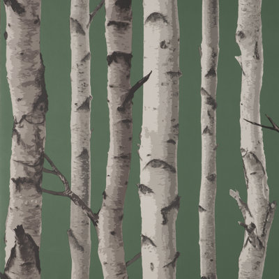 Birch Trees Wallpaper
