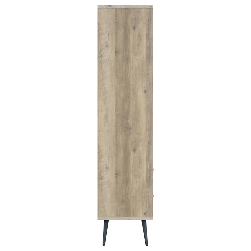 Breanda Storage Bookcase