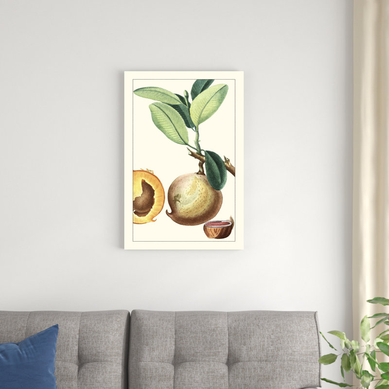 Turpin exotique botanique II, H 30 po x l 20 po x P 1,25 po