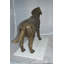 Statue Haug Labrador Retriever