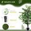 Charleston 145cm Faux Tree in Pot