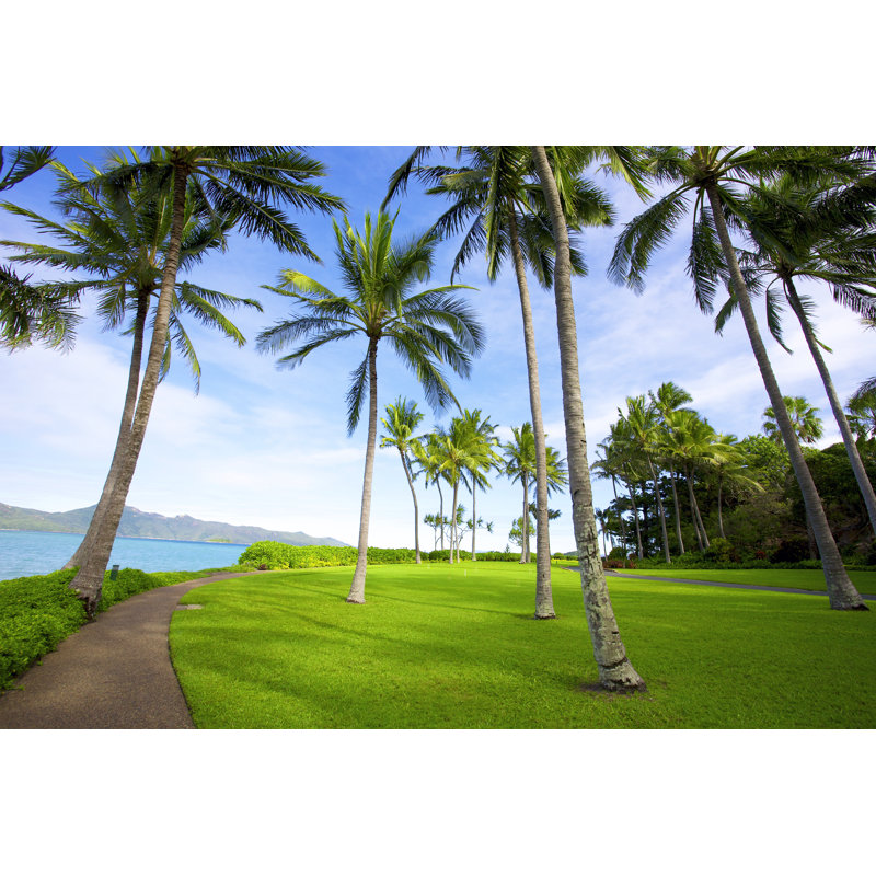 Tropical Landscape - Wrapped Canvas Print, 30cm H x 46cm W x 3.8cm D