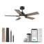 Ventilateur de plafond noir à 5 pales 42 po avec lumière DEL, télécommande et commande vocale, à intensité variable-1773513564-1773898592-1773898605