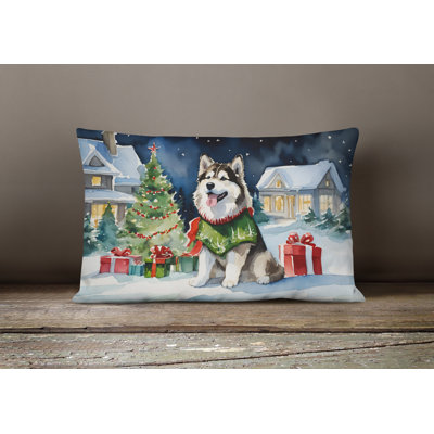 Other/No Pattern Outdoor Throw Pillow
