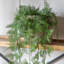 81cm Faux Fern Plant in Pot