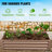 Carsynn Galvanized Steel Raised Garden Bed-485361214-485361209