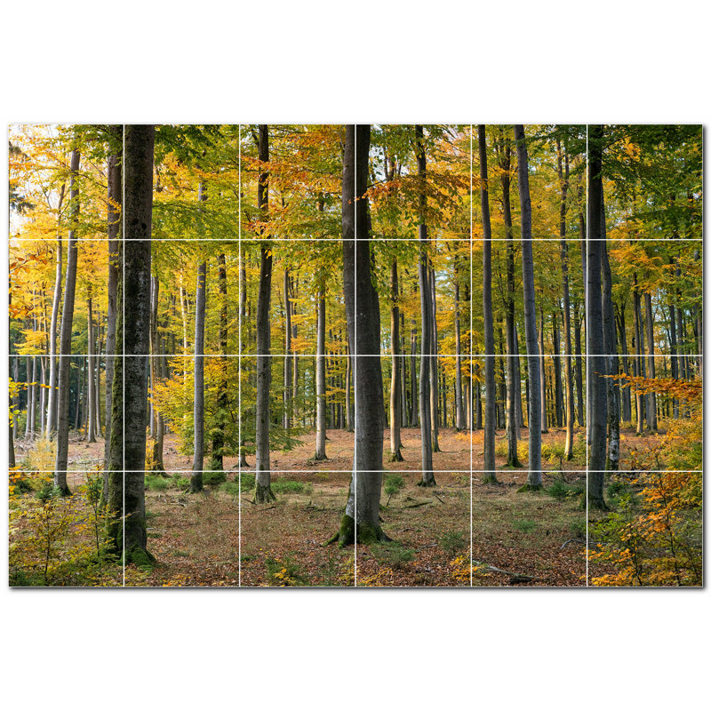 Photo d'arbres 12 x 12