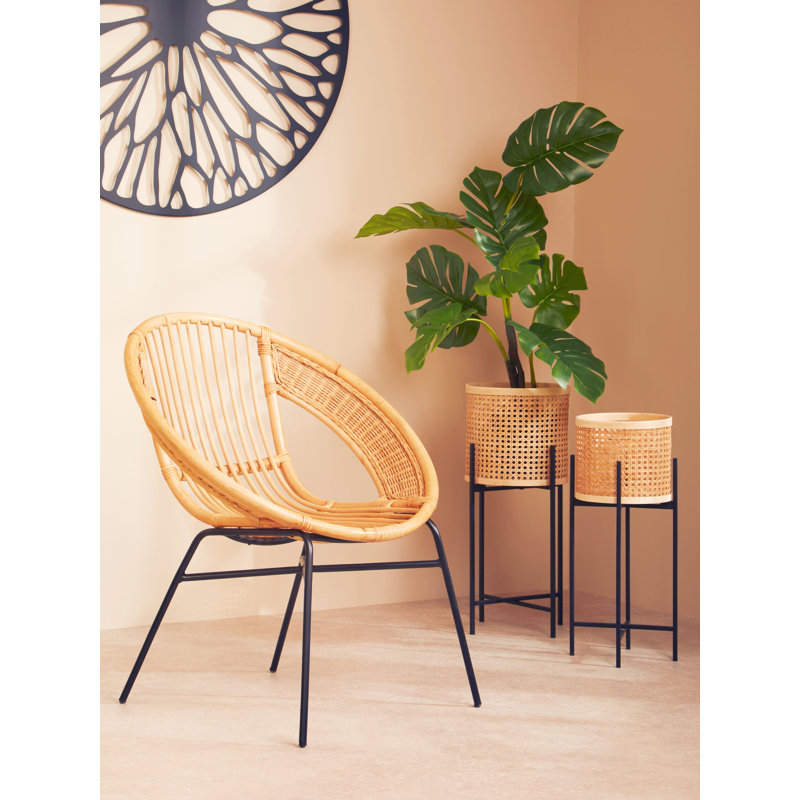 Dedria Pot Planter