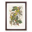 Carolina Parrots by John Audubon - Picture Frame Painting Print-55513801-55513798