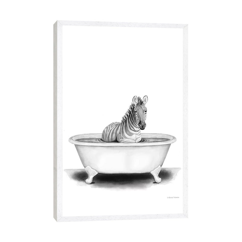 Zebra In Tub by Rachel Nieman - Print on Canvas, White Framed, 101.6cm H x 66.04cm W x 3.81cm D