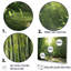 «Dynamic Light Bamboo Grove I», reproduction sur toile_106667-95900690-95900697