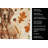 Liver Pointer Heirloom Fall Kitchen Towel-1218231131