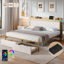 Metal Storage Bed