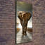 Strolling Elephant - Wrapped Canvas Print