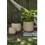 Jardinière Sun cadran -1852307123