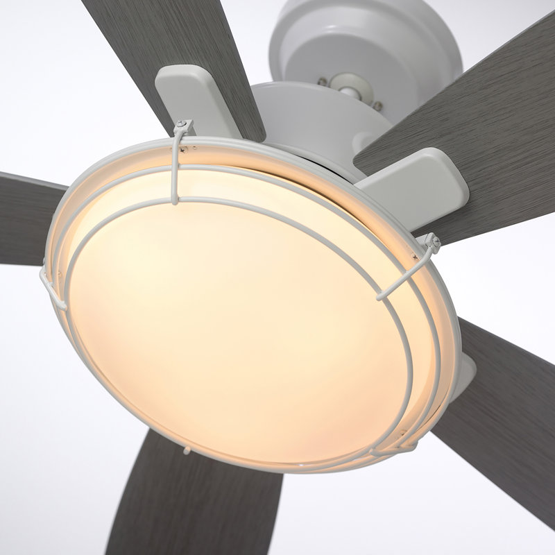 Ventilateur de plafond d'extérieur standard à 5 pales de 54 po avec commande murale et ensemble d'éclairage inclus Jeanine