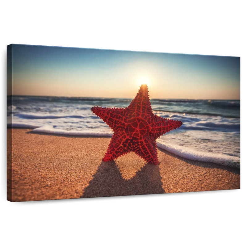 Crowle Seashore Starfish, 8" H x 12" W