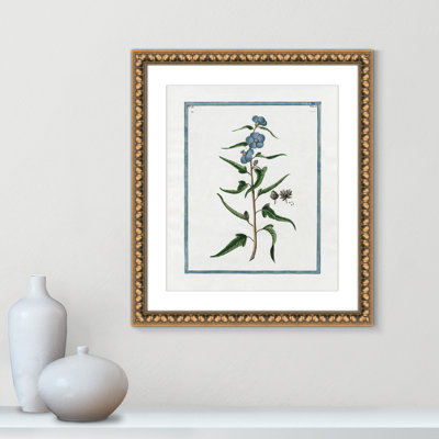 Colombe Shabby Elegance Botanical I - Art encadré avec fond perdu