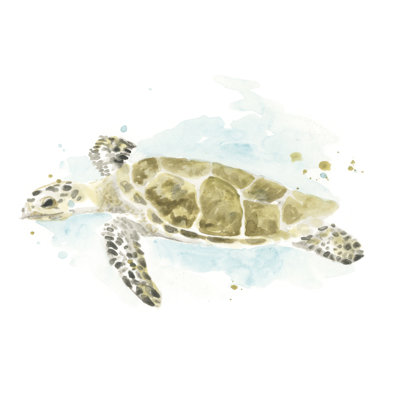 Étude de tortues de mer à l'aquarelle II