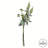 26'' Plant