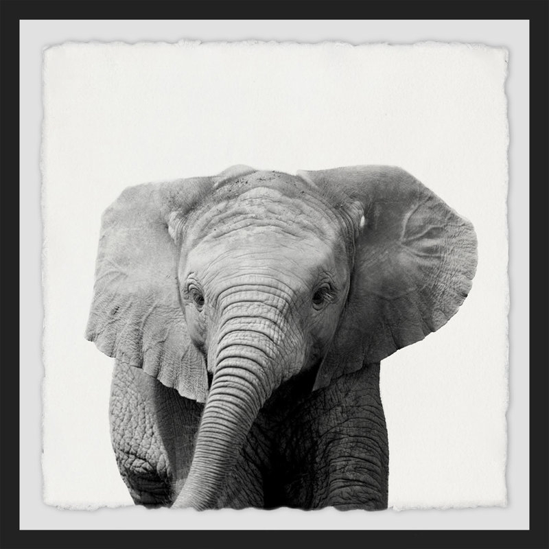 'King of the Elephants' Framed Print, 12" H x 12" W x 1.5" D