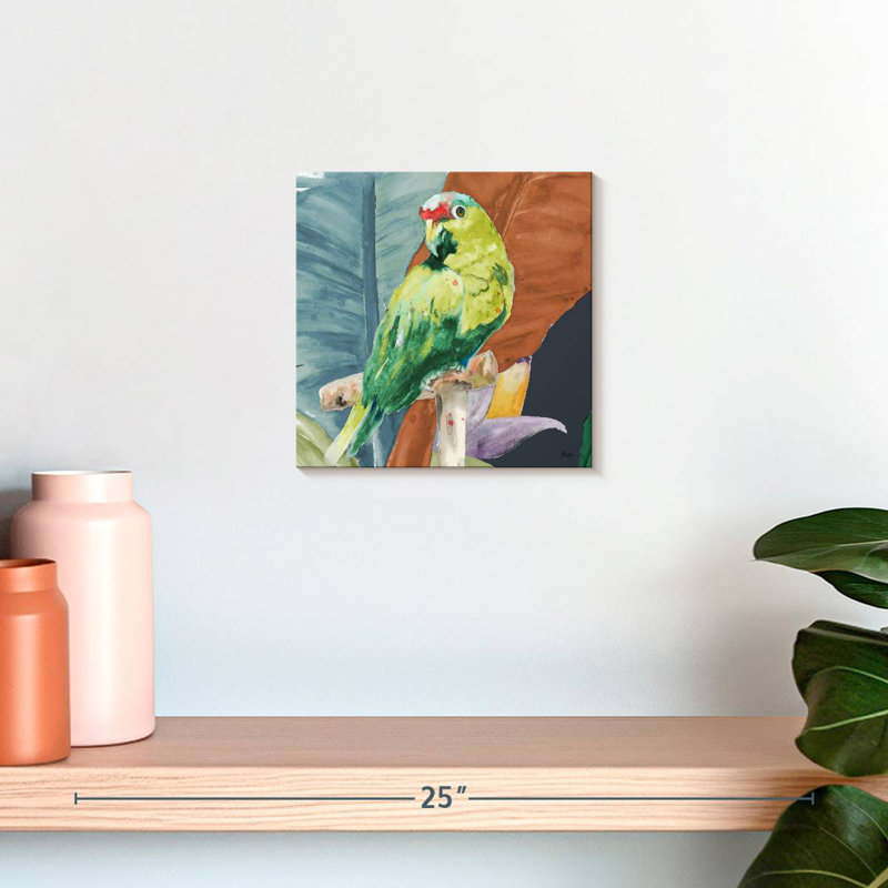 Brampt, perroquet tropical, H 10 po x l 10 po