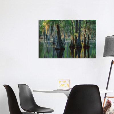 Bald Cypress Swamp, Sam Houston Jones State Park, Louisiana 1 Piece Wrapped Canvas Wall Art