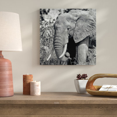 « solitaire éléphant », reproduction de photo sur toile tendue