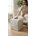 Beverly Ivory Perennials