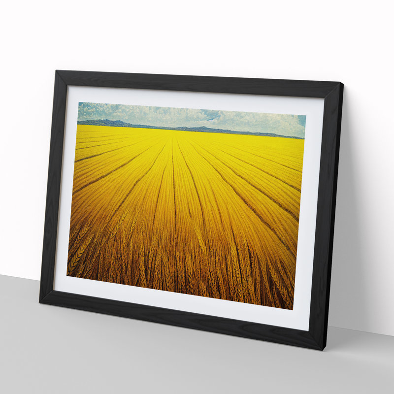 Contemporary Wheat Field - Framed Print, Black, 46cm H x 64cm W x 2cm D