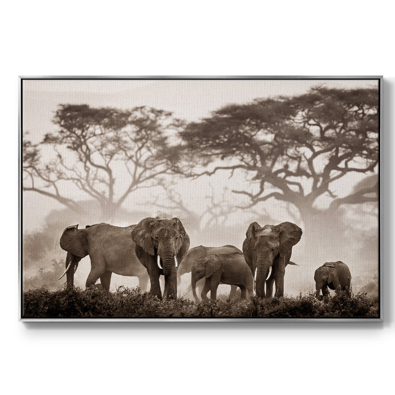 Amboseli National Park, reproduction d'art sur toile, H 25 po x l 37 po x P 2 po, Argent
